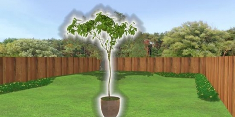 Plant 'n boom