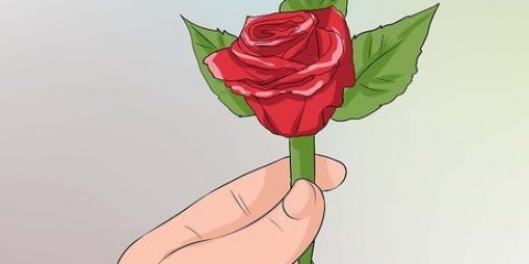 Speld 'n boutonniere vas