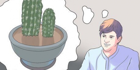 Verpot 'n kaktus