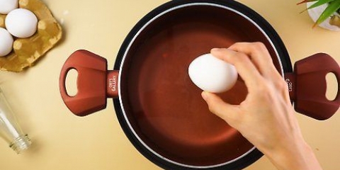 Om 'n eier in 'n bottel te kry
