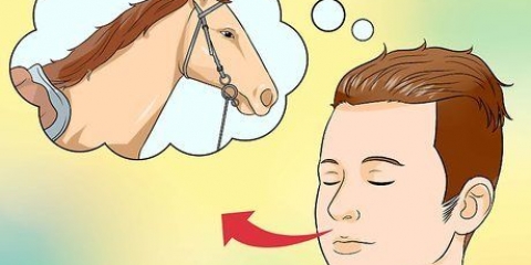 Een gesproke paard tot rust bring