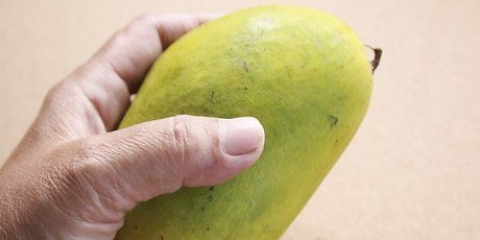 Een goeie mango uitsoek