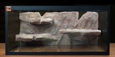 Een habitat maak vir 'n luipaardgekko