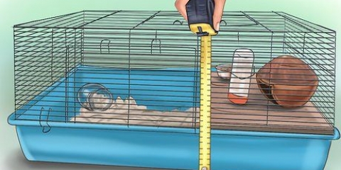 Een hamsterkooi inrichten