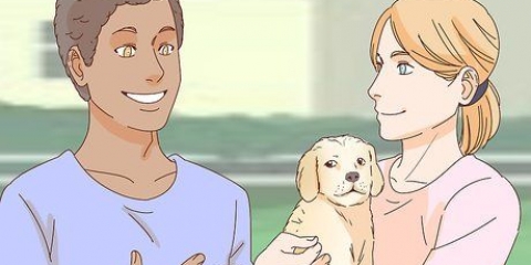 Een hond aaien