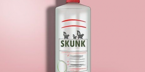 Een hond die deur 'n stinkdier is bespoten versorgen
