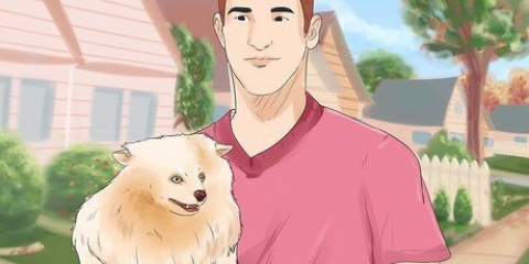 Een hond 'n nuwe naam gee