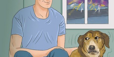 Een hond kalmeren tydens 'n onweersbui