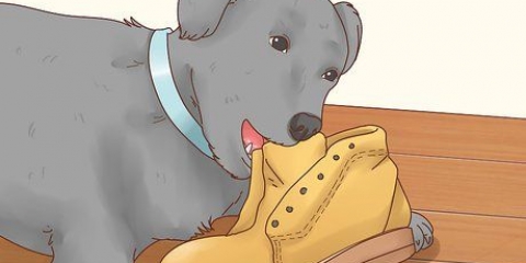 Een hond laat ophouden met grond eten
