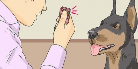 Een hond leer te lachen