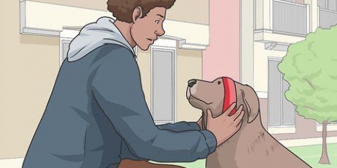 Een hond uitlaten
