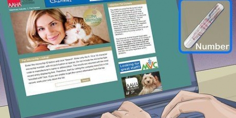 Een huisdier met 'n chip traceren