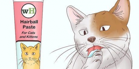 Een kat help 'n haarbal op te hoesten