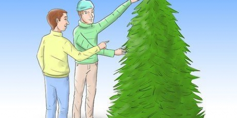 Een kerstboom verzorgen