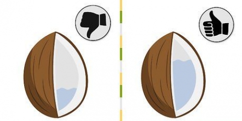 Kweek 'n klapperpalm