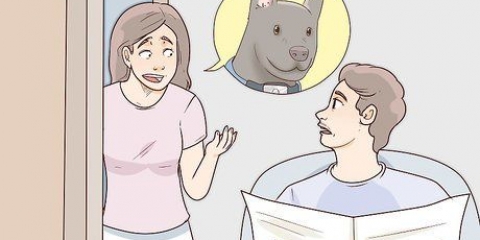 Een kwytgeraakte hond terugvinden
