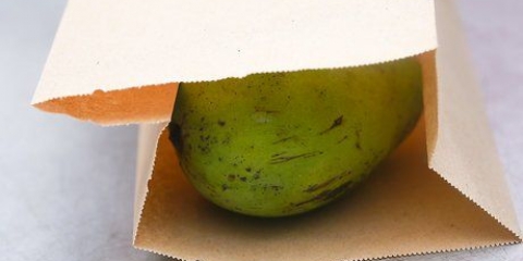 Een mango ryp laat word