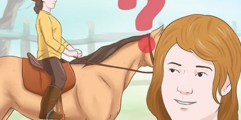 Een paard trainen