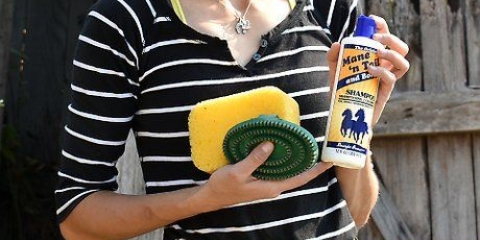Een paard wassen