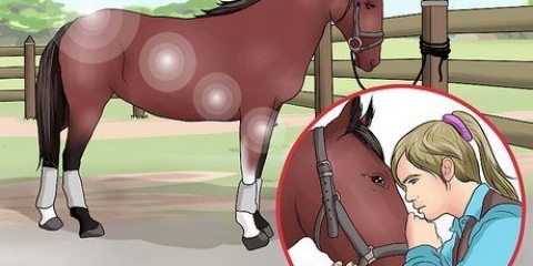 Een paardenhoef uitkrabben