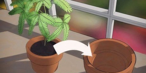 Verplant 'n plant