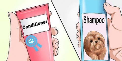 Een shih tzu hondjie wassen