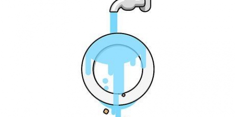 Die gebruik van 'n skottelgoedwasser