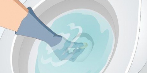 Herwin 'n voorwerp wat in die toilet geval het