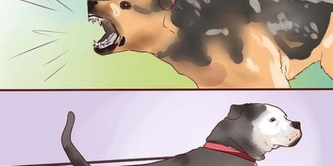 Een waakhond trainen