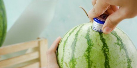 Een waatlemoen met wodka maak