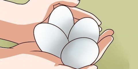 Eiers pasteuriseer