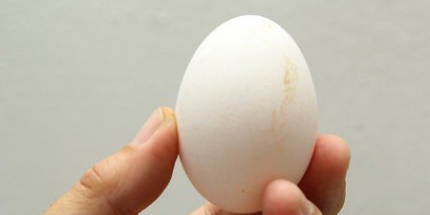 Maak eiers skoon