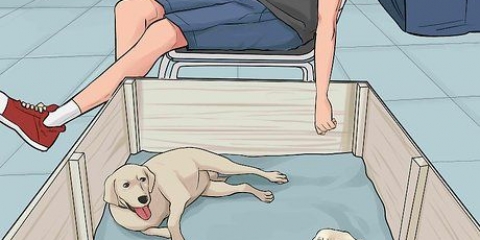 Ermee gaan om wanneer 'n moederhond haar hondjies afwys