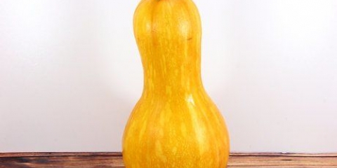 Flespompoen pasop
