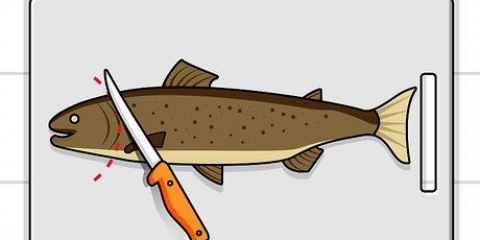 Fileteer en ontbeen forel