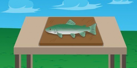 Forel te filet