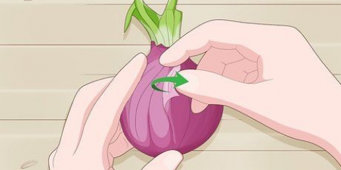 Plant uitgeloopte uie