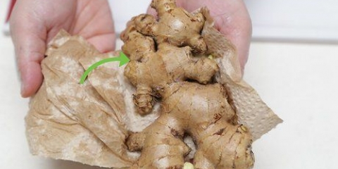 Maak gemmer knoffelpasta