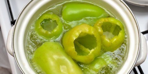 Gevulde paprika maak
