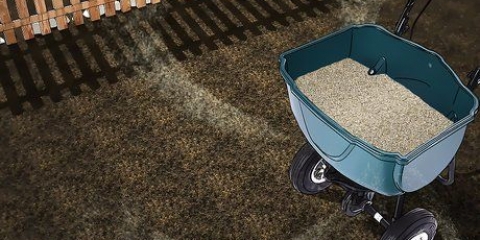 Groei gras uit saad