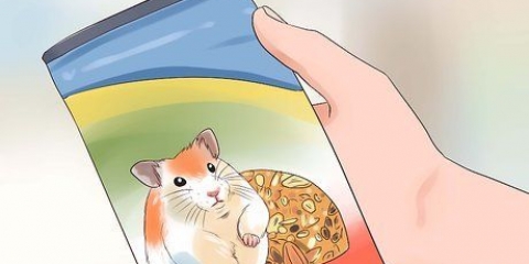 Hamsters voer