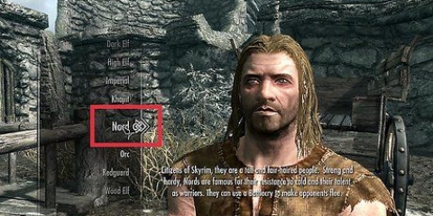 Skep die regte karakter vir jouself in skyrim