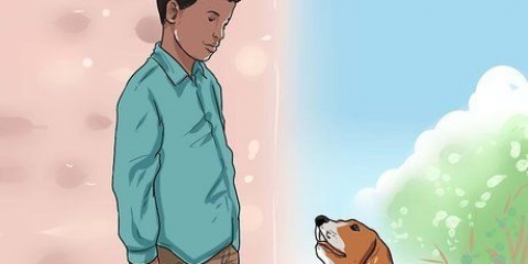 Het vertroue van 'n hond wen