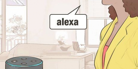 Pas alexa se volume aan
