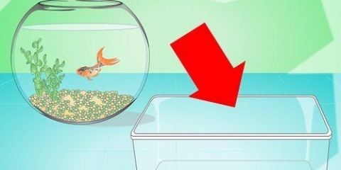 Het water in 'n vissenkom verversen