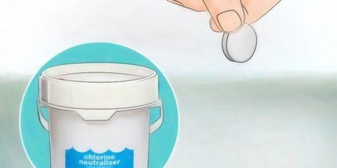 Het water van 'n siamese kempvis verversen