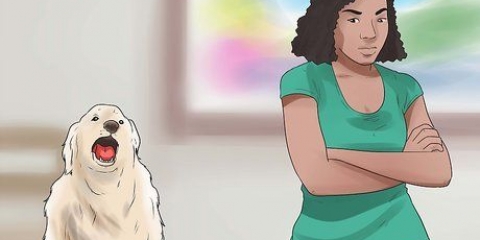 Honden laten stoppen met janken