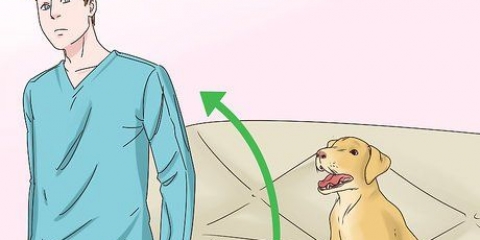 Honden laten stoppen met likken