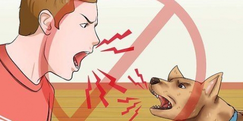 Honden trainen om nie te blaffen nie