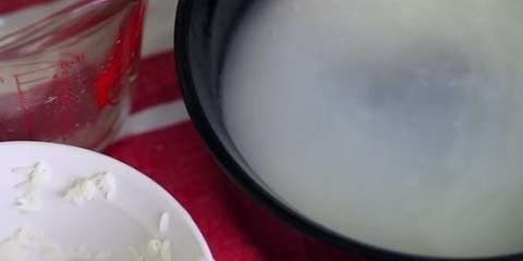 Horchata maak